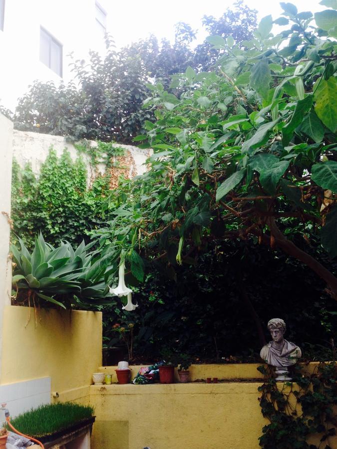 Casa Anchieta Otel La Orotava Dış mekan fotoğraf